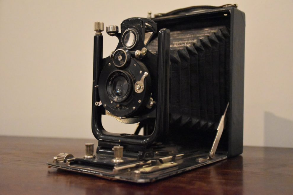 Zamek Królewski Niepołomice